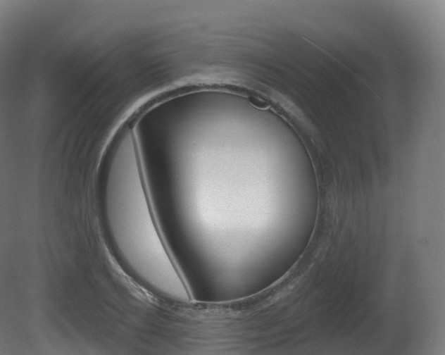 X0000081500934200701121135