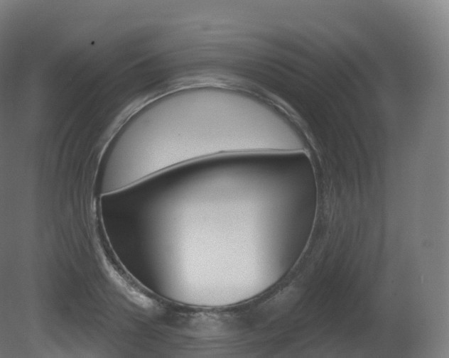 X0000081500938200701121135