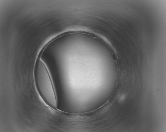 X0000081500943200701121135