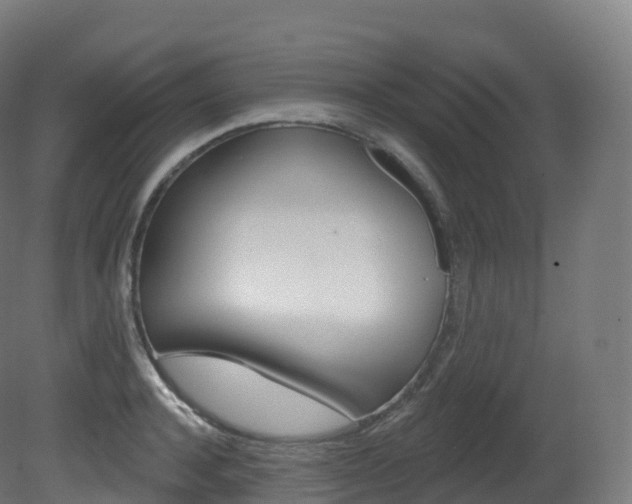 X0000081500944200701121135
