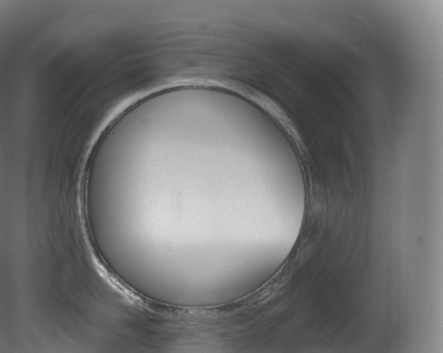 X0000081500958200701121135