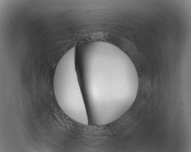 X0000081500962200701121134