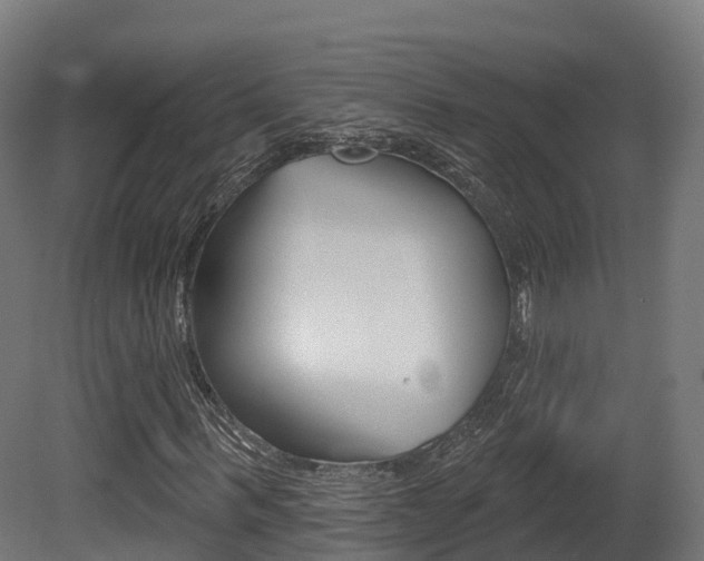 X0000081500963200701121134