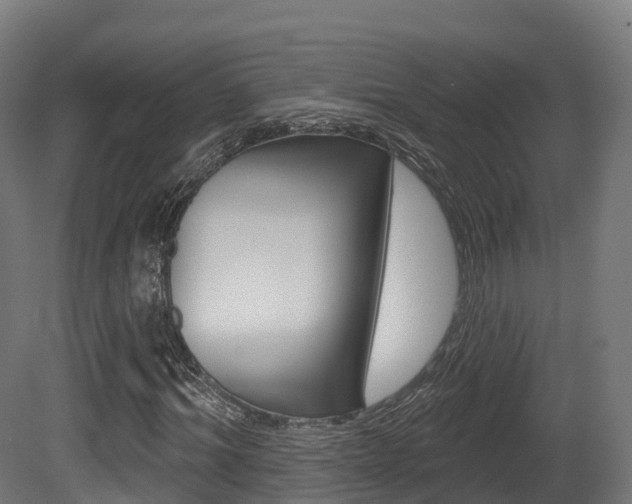 X0000081500964200701121134