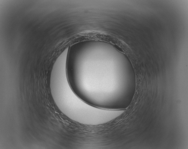 X0000081500965200701121134