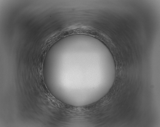 X0000081500966200701121134