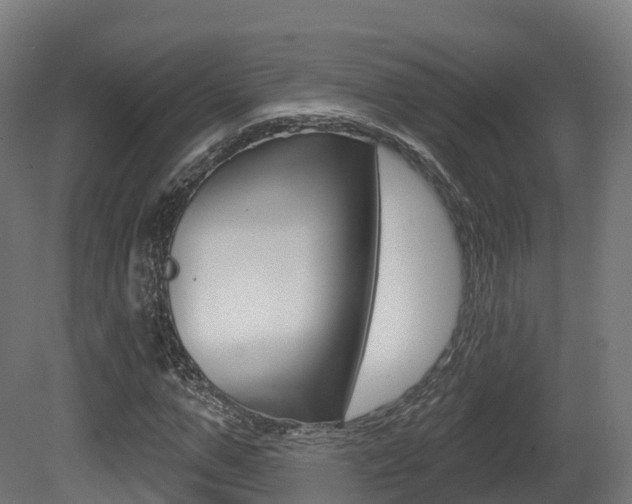 X0000081500967200701121134