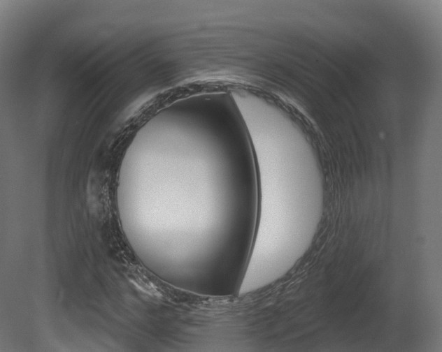 X0000081500968200701121134