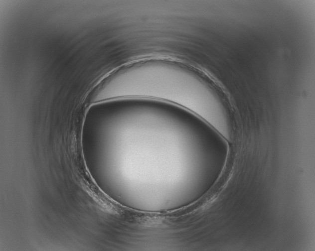 X0000081500969200701121134