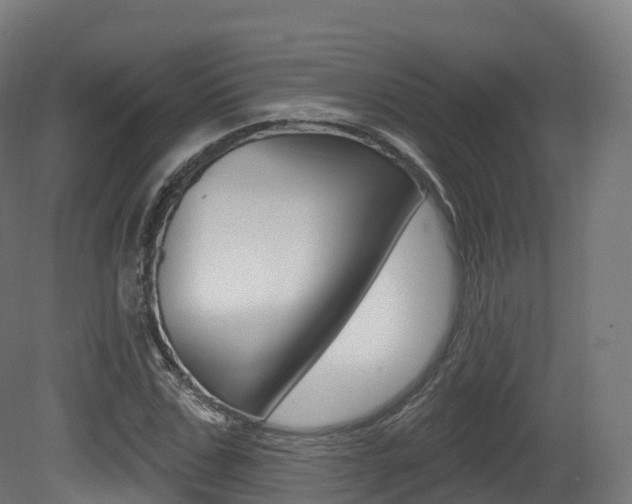 X0000081500971200701121134