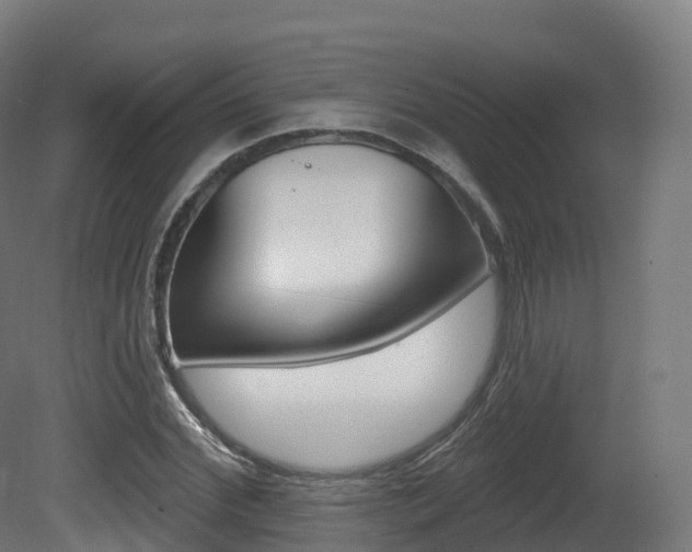 X0000081500972200701121134