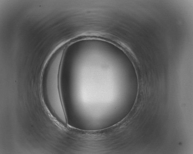X0000081500976200701121134