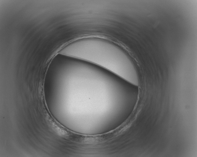 X0000081500985200701121134