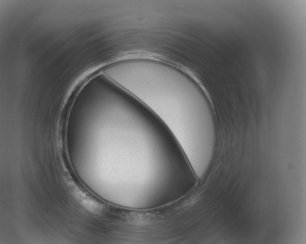 X0000081500987200701121134