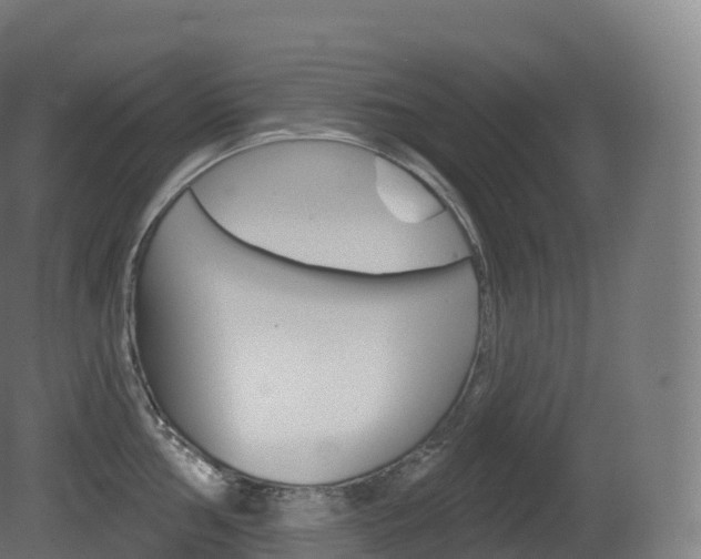 X0000081501002200701121134
