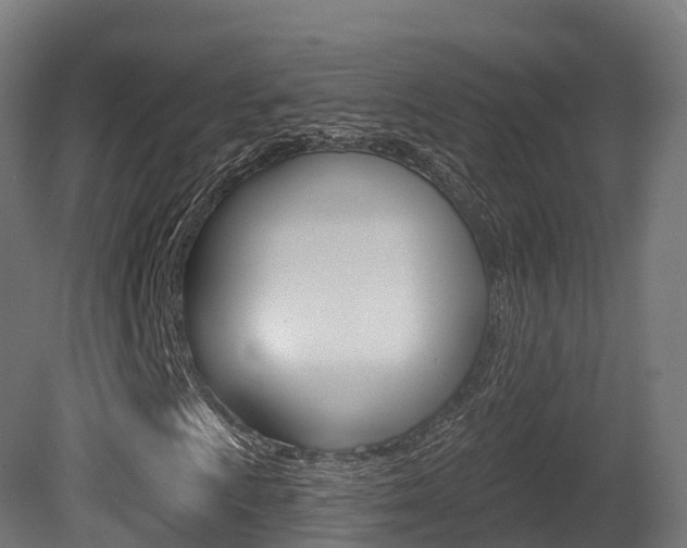 X0000081501009200701121133