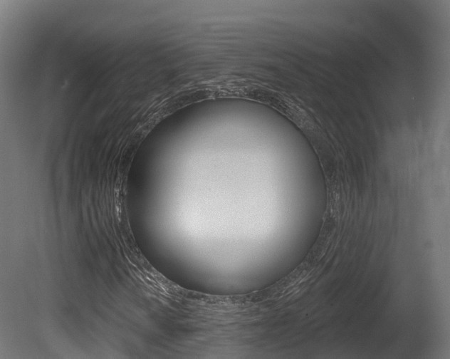 X0000081501010200701121133