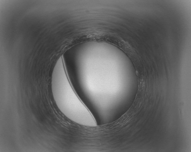 X0000081501012200701121133