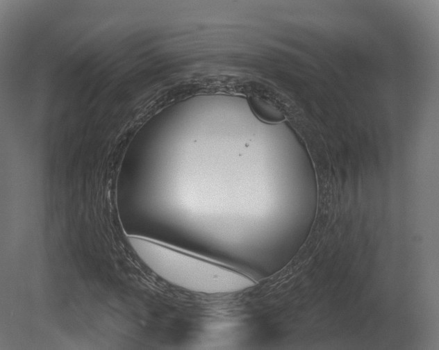 X0000081501013200701121133