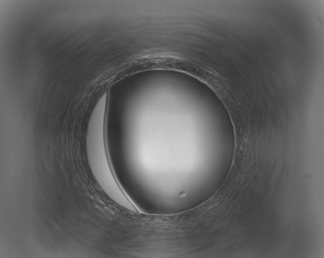 X0000081501014200701121133