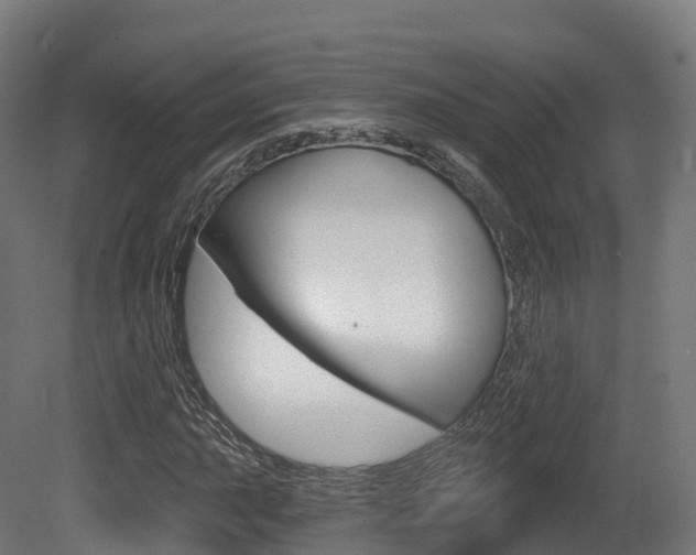 X0000081501015200701121133