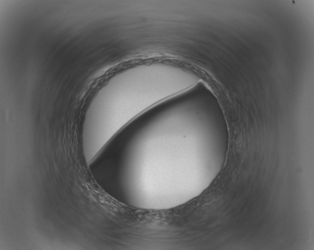 X0000081501016200701121133