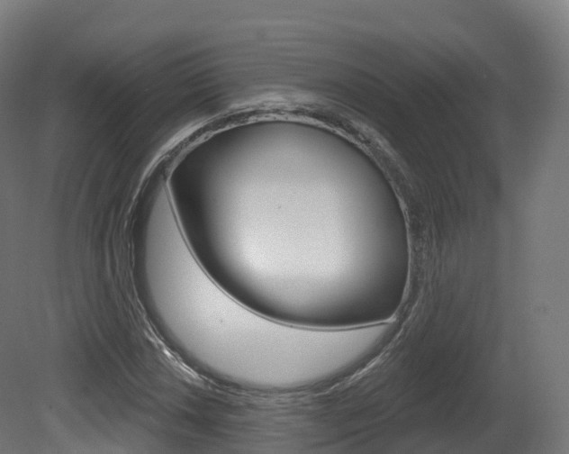 X0000081501018200701121133