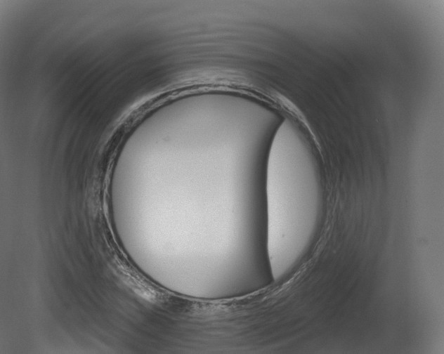 X0000081501019200701121133