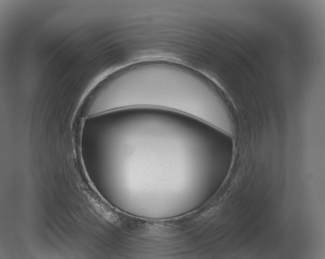 X0000081501022200701121133