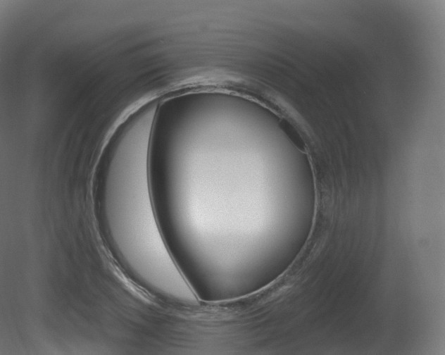 X0000081501026200701121133