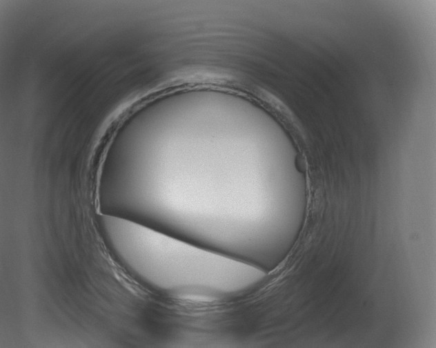 X0000081501027200701121133