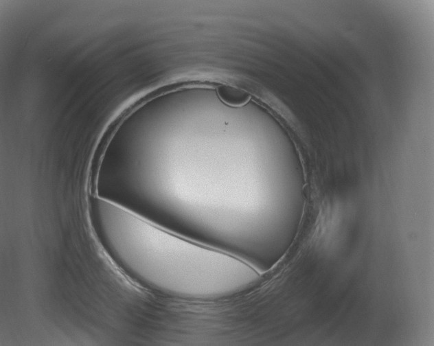 X0000081501028200701121133