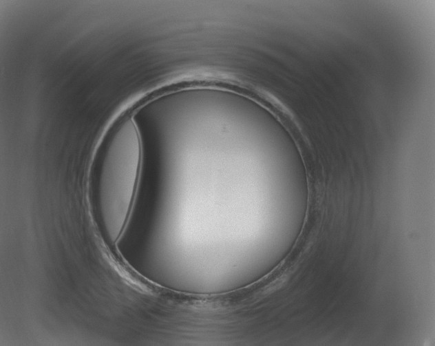 X0000081501029200701121133