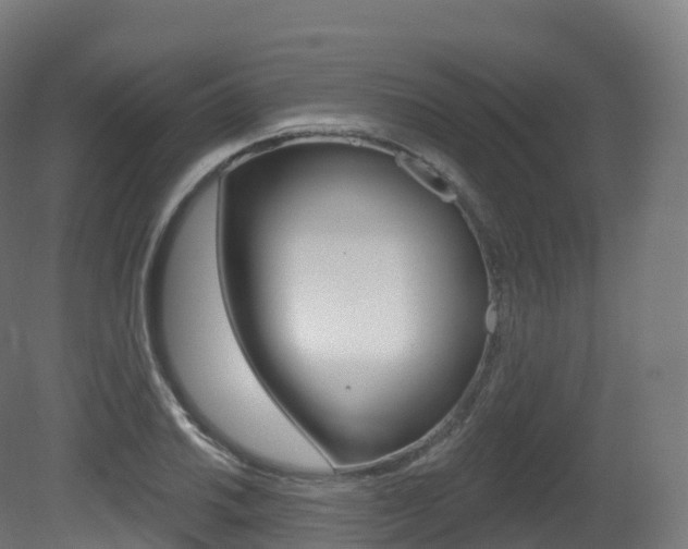 X0000081501030200701121133