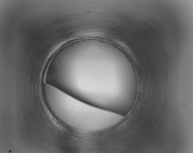 X0000081501031200701121133