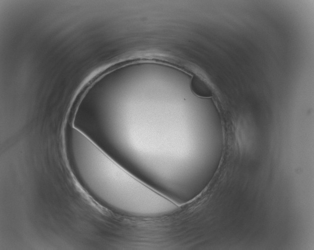 X0000081501032200701121133