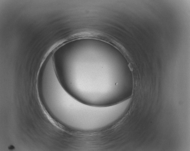 X0000081501034200701121133