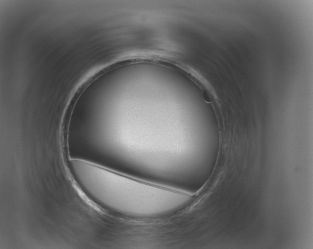 X0000081501037200701121133
