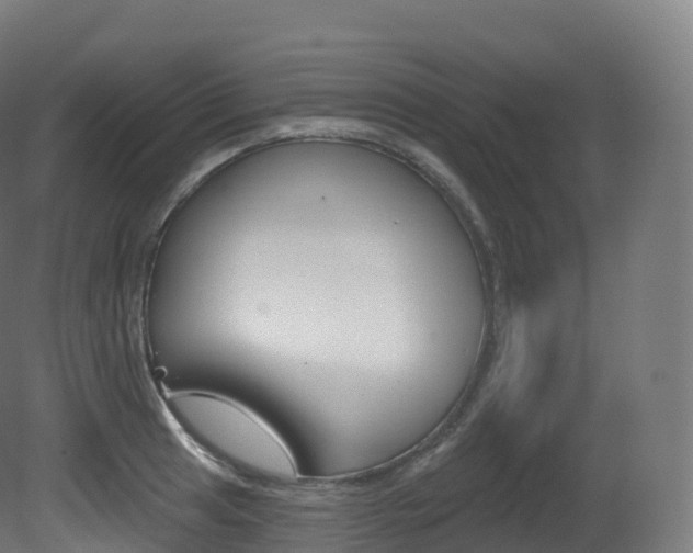 X0000081501041200701121133