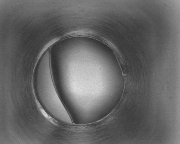 X0000081501042200701121133