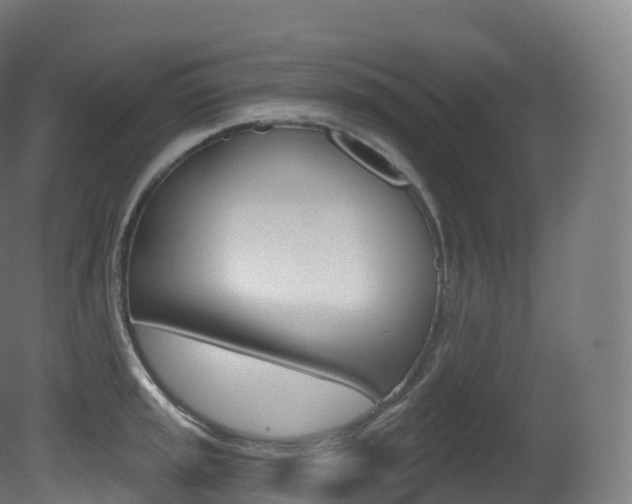 X0000081501045200701121133