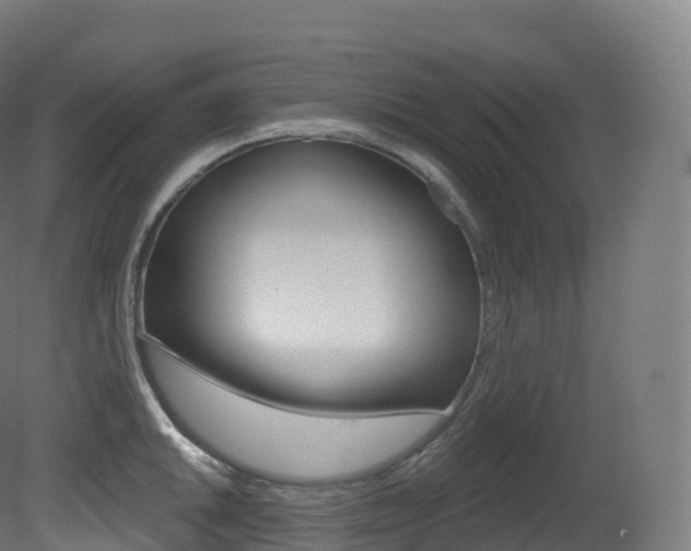 X0000081501046200701121133