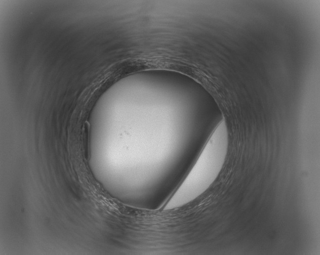 X0000081501057200701121133