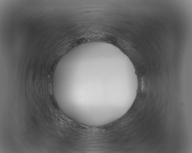 X0000081501059200701121133