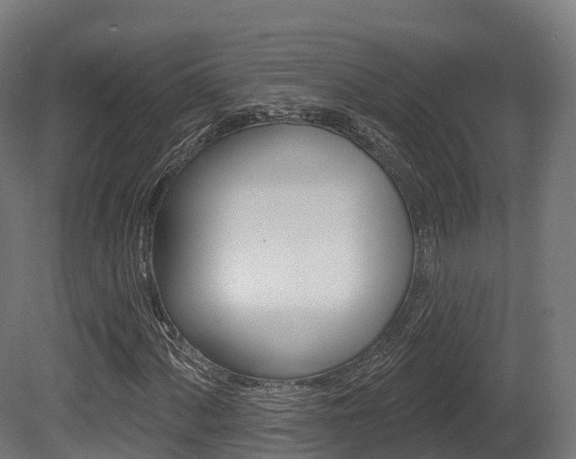 X0000081501060200701121133