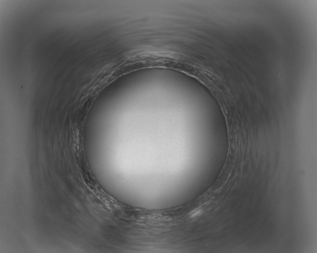 X0000081501061200701121133