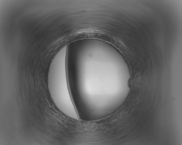 X0000081501062200701121133