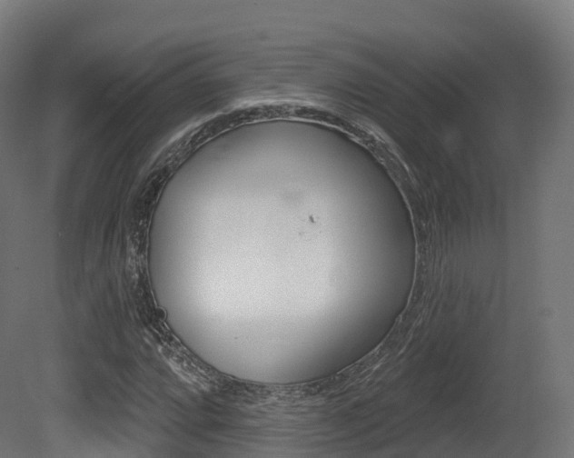 X0000081501064200701121133