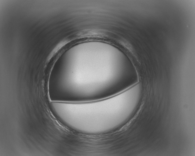 X0000081501066200701121133