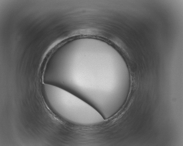 X0000081501070200701121133